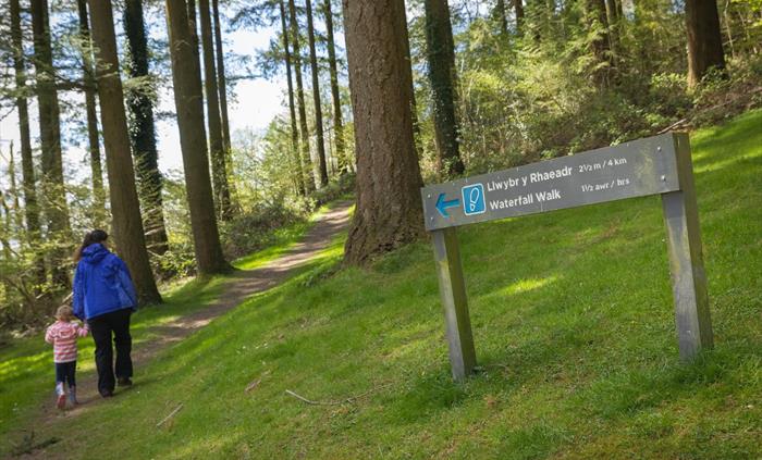 Cwm Rhaeadr Woodland